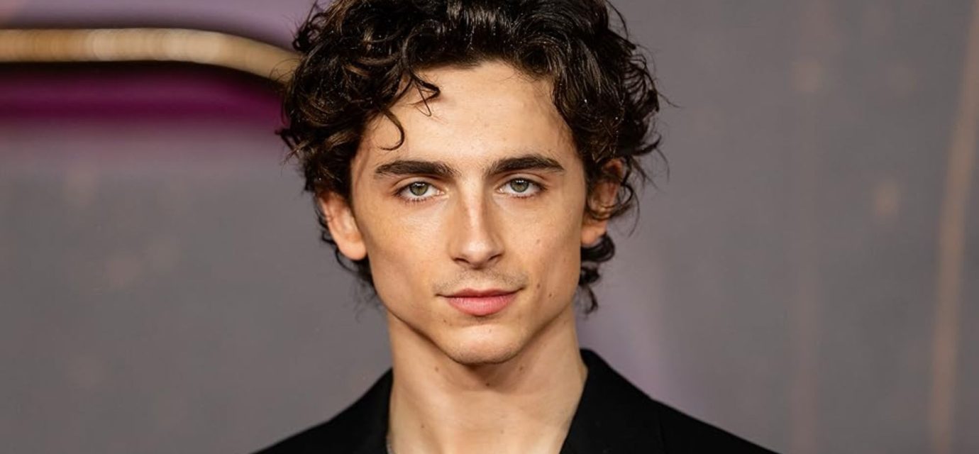 Timothée Chalamet Career Journey: From Theatre Kid to Hollywood's Most Unpredictable Star