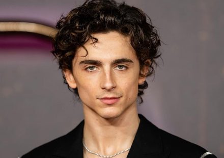 Timothée Chalamet Career Journey: From Theatre Kid to Hollywood's Most Unpredictable Star