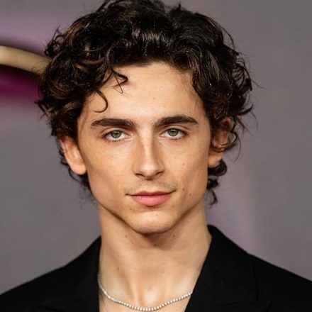 Timothée Chalamet Career Journey: From Theatre Kid to Hollywood's Most Unpredictable Star