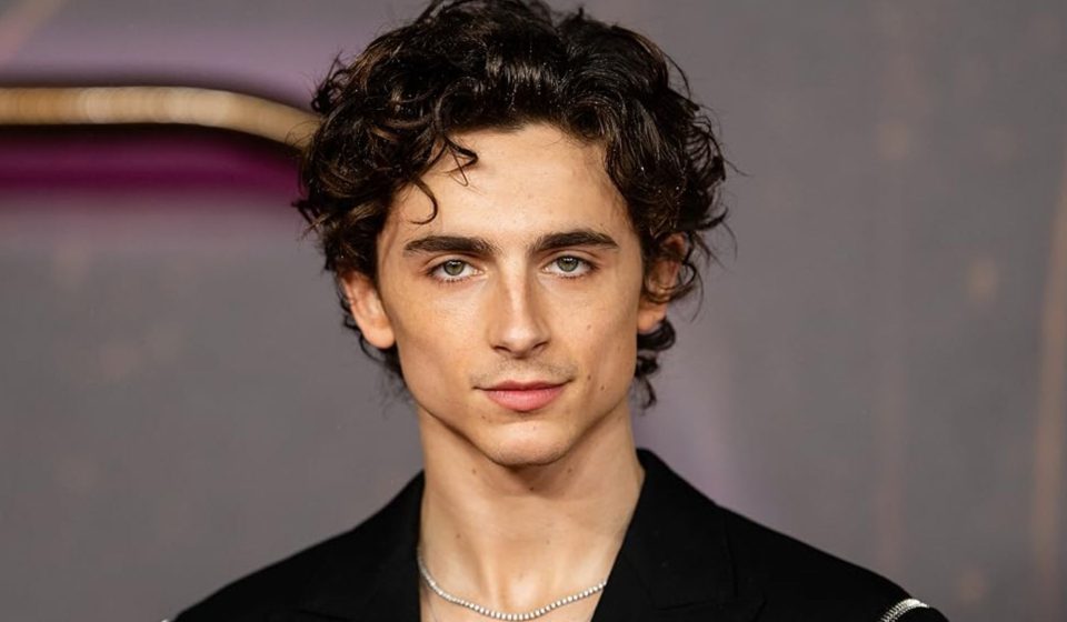 Timothée Chalamet Career Journey: From Theatre Kid to Hollywood's Most Unpredictable Star